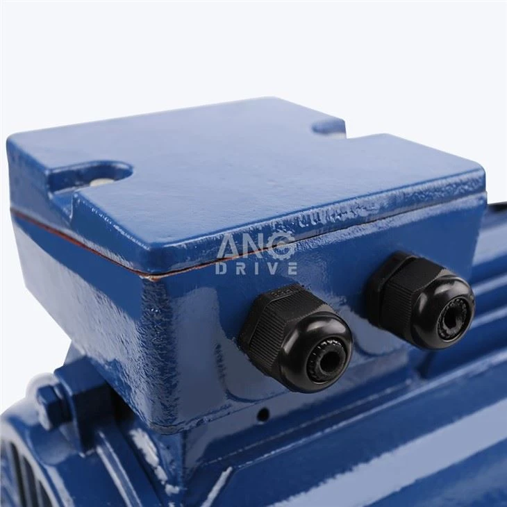 10HP Motor