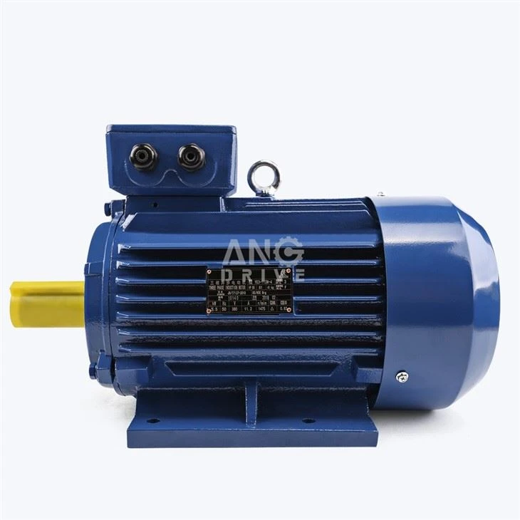 110KW Motor