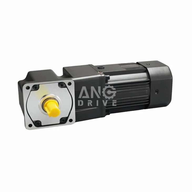 250w 220V Gear Motor