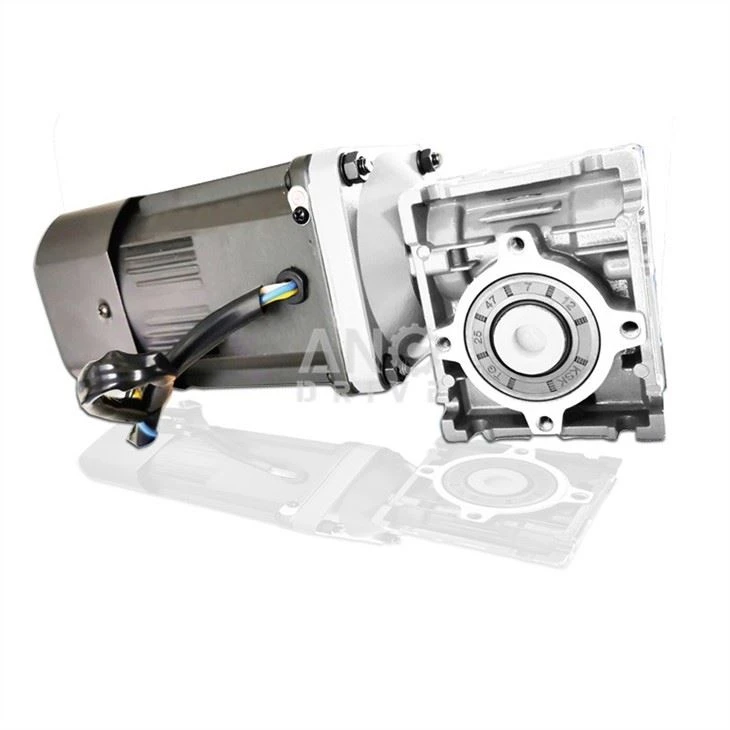 Micro AC right angle gear motor