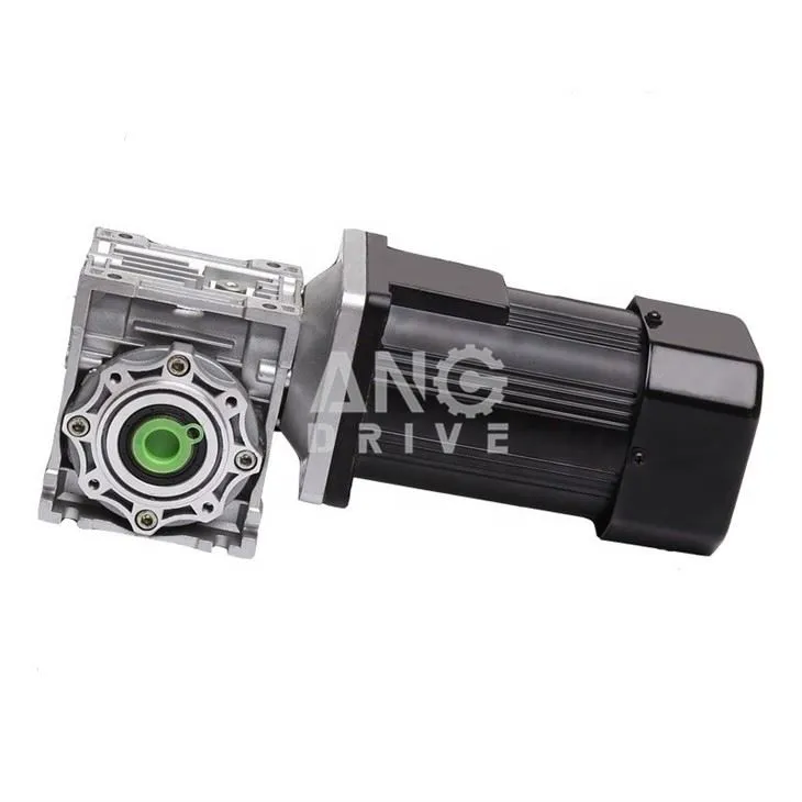 NMRV+micro ac motor