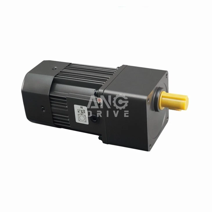 AC Induction Gearmotor