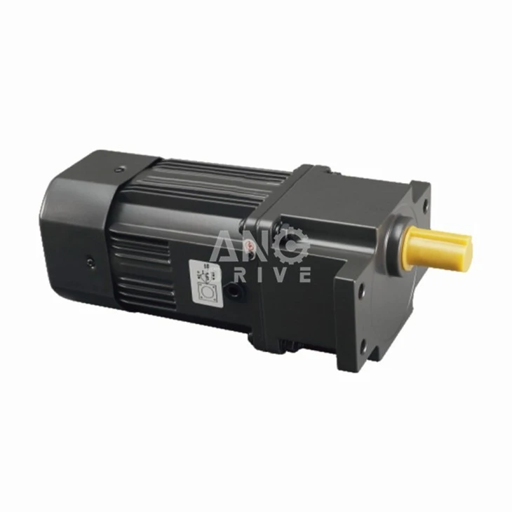Frame AC Gear Motor
