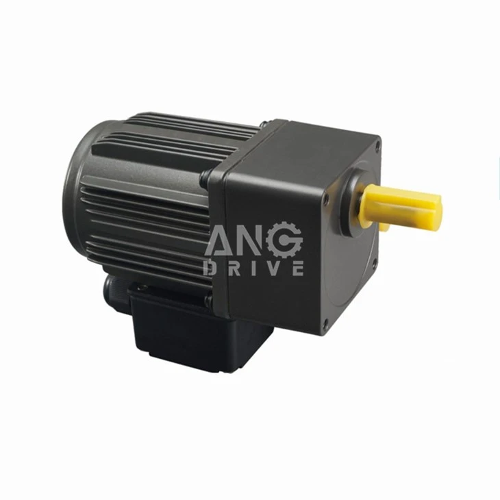 Frame AC Gear Motor