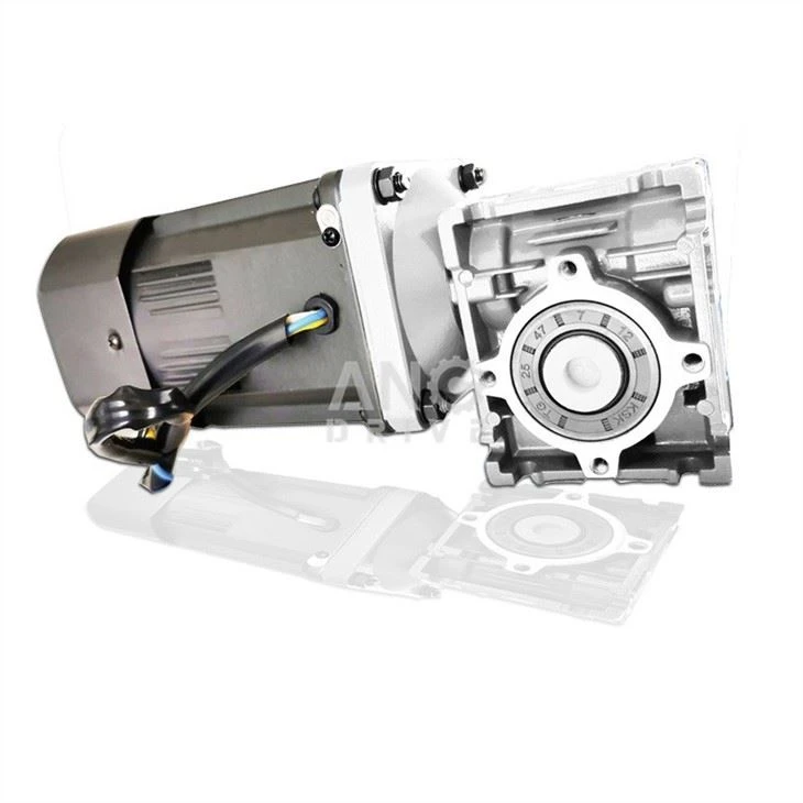 AC worm reducer motor