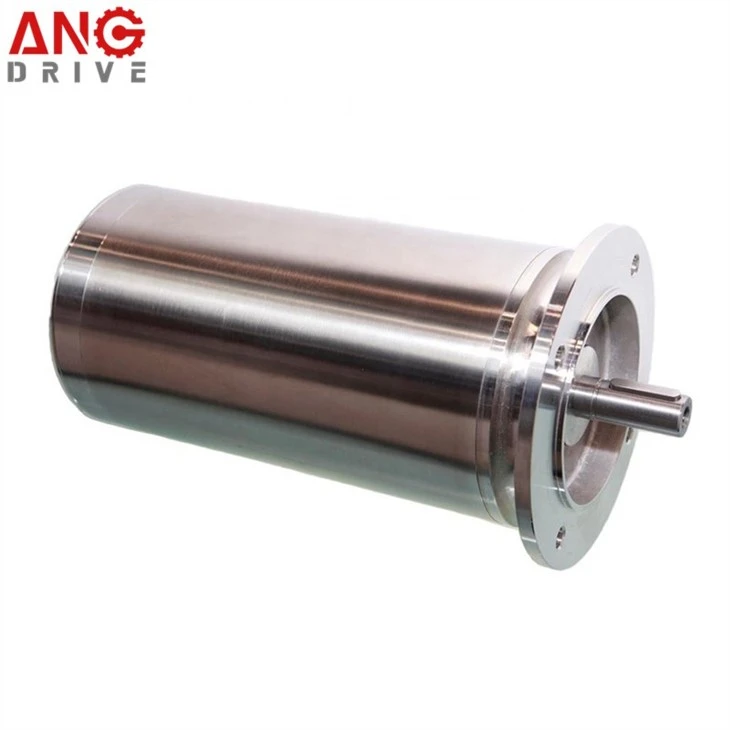 stainless steel electric motor