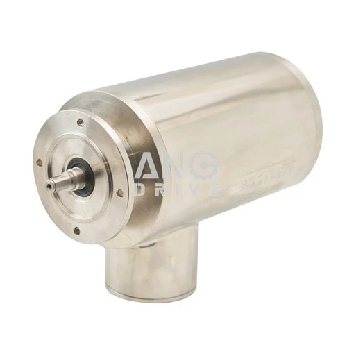 IP66-motor
